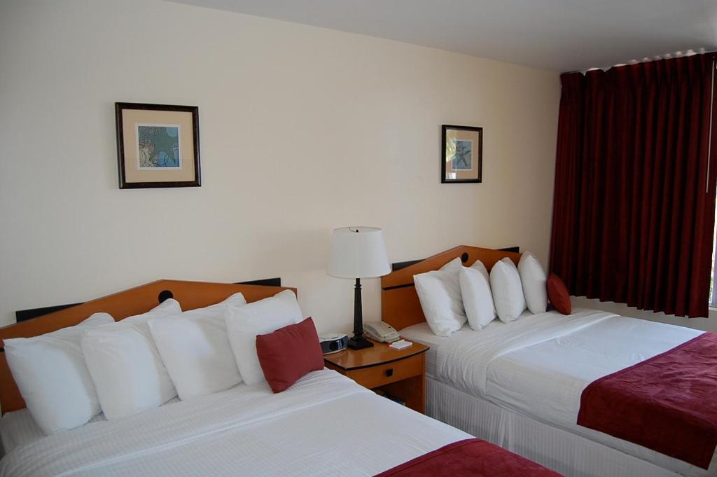 Alcazar Resort- Gay Mens Resort フォート・ローダーデール 部屋 写真